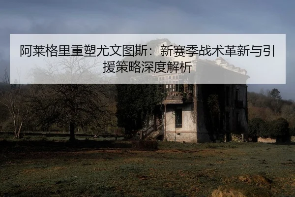 a-lai-ge-li-zhong-su-you-wen-tu-si-xin-sai-ji-zhan-shu-ge-xin-yu-yin-yuan-ce-lve-shen-du-jie-xi-2-712.jpg