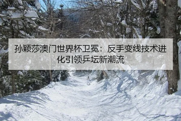 孙颖莎澳门世界杯卫冕：反手变线技术进化引领乒坛新潮流